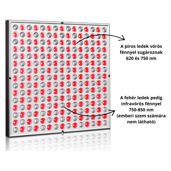 Panel + Öv - Image 2