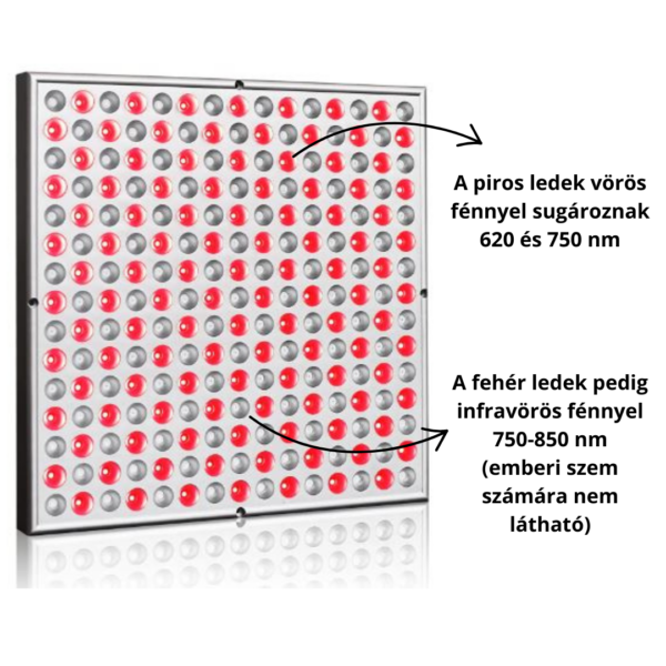 Panel + Öv + Lámpa - Image 4